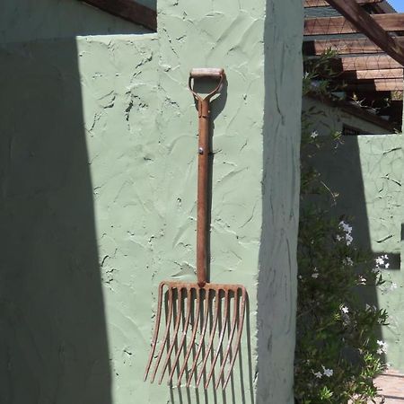 Die Windpomp Gastehuis Beaufort West Esterno foto